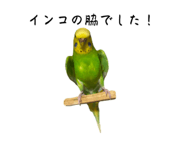 767230980