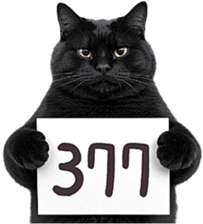 767231624