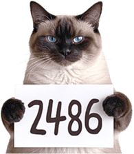 767231635