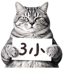 767231641