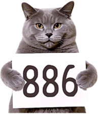 767231645