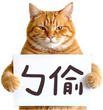 767231648