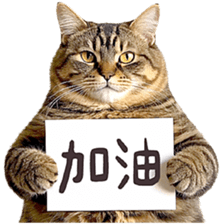 767231653