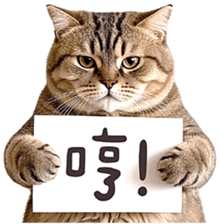 767231656