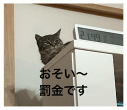 767232296