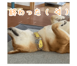 767245586