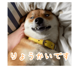 767245591