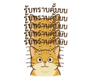 767246164