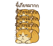 767246166