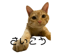 767253640