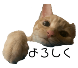 767253642