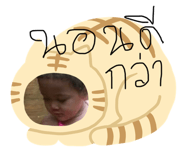 767253951