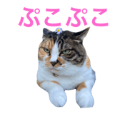 767259329