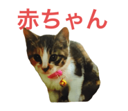767259334
