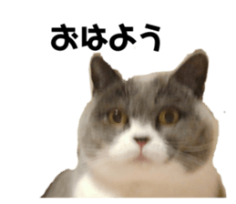 767259580