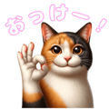 767278048