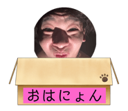 767292176