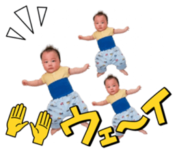 767338650