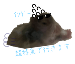 767341401