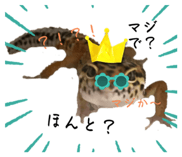 767341402