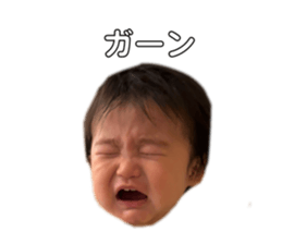 767342404