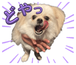767343221