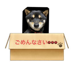 767348718