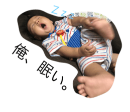 76735055