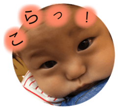 76735057