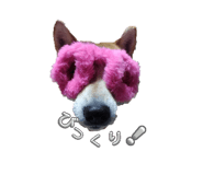 767356275