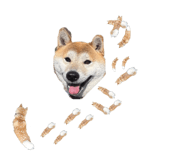 767356279