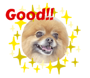 767357786