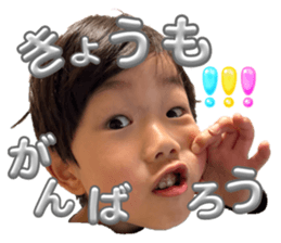 767379518