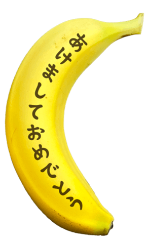 767389251