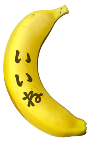 767389273