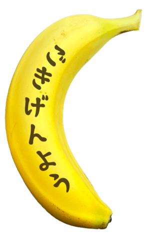 767389283