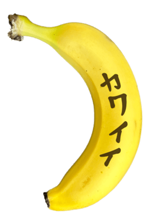 767389285