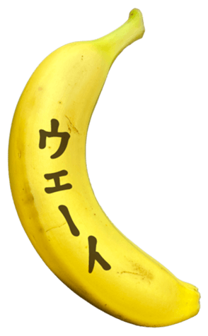 767389288