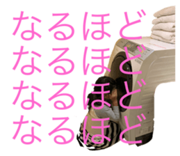 767397675