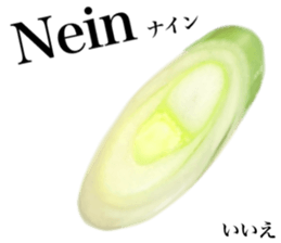 767401958