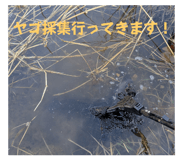 767415561