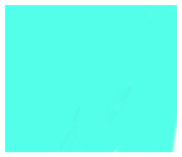 767416032