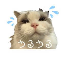 767422977