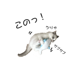767423009