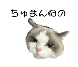 767423015