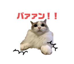 767423016