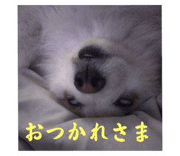 767429340