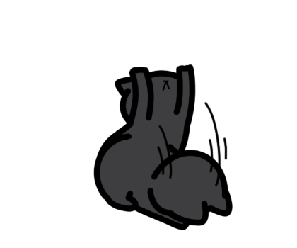 ลายที่ 19