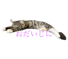 767438955