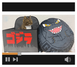 767445500